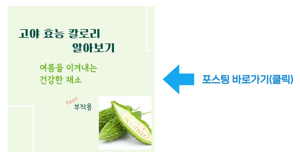 고야 효능 칼로리 바로가기