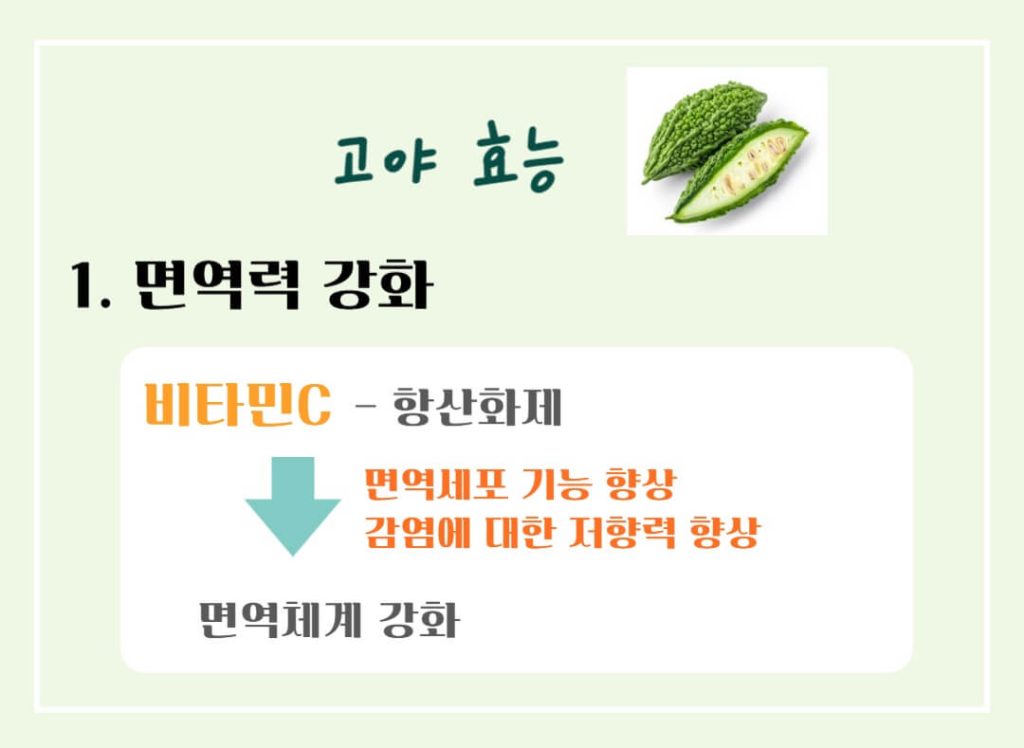 고야 효능 칼로리 알아보기 : 여름을 이겨내는 건강한 채소(feat. 부작용)