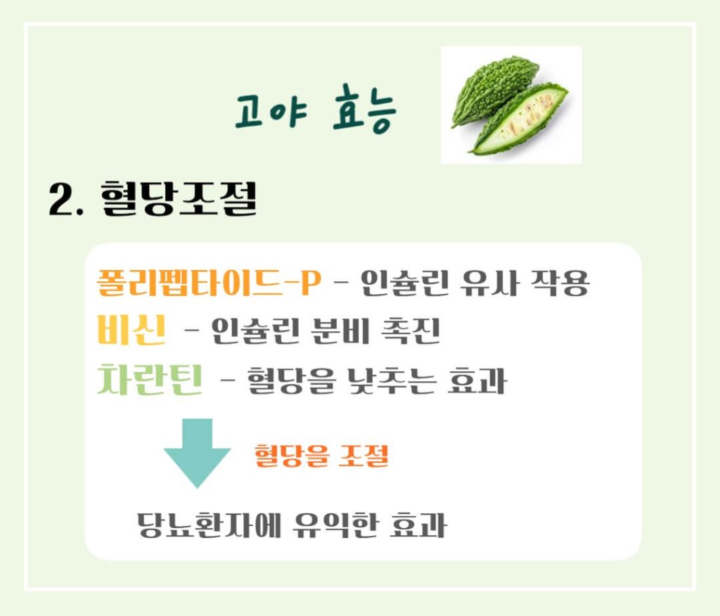 고야 효능 칼로리 알아보기 : 여름을 이겨내는 건강한 채소(feat. 부작용)