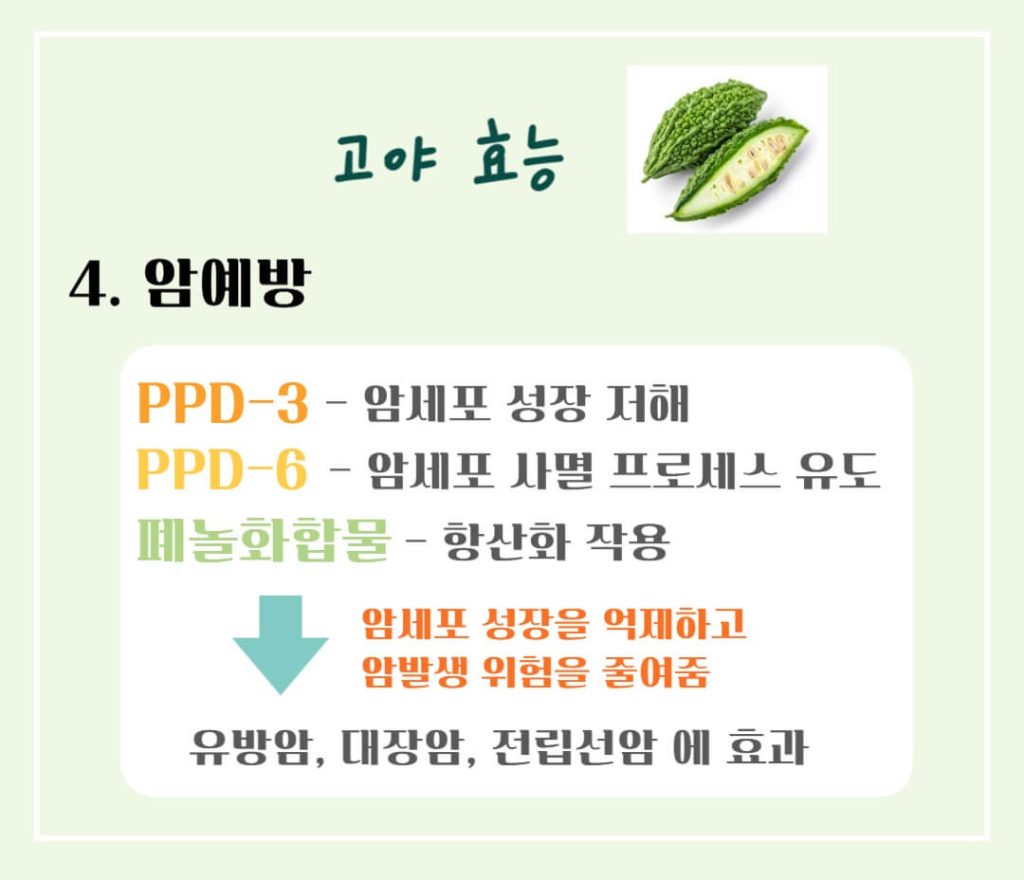 고야 효능 칼로리 알아보기 : 여름을 이겨내는 건강한 채소(feat. 부작용)