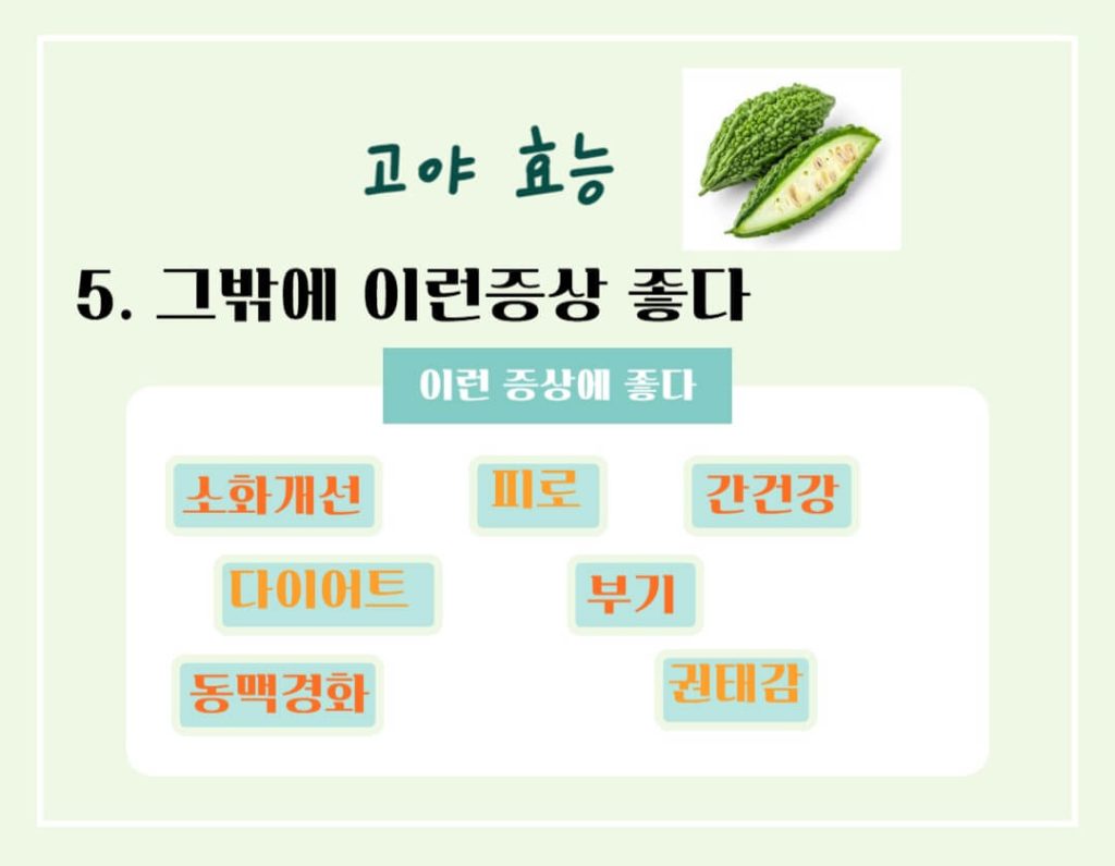 고야 효능 칼로리 알아보기 : 여름을 이겨내는 건강한 채소(feat. 부작용)