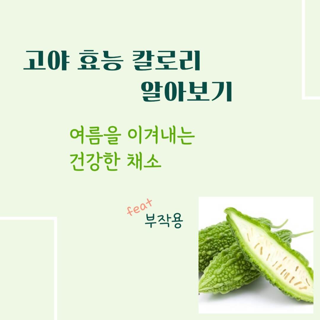 고야 효능 칼로리 알아보기 : 여름을 이겨내는 건강한 채소(feat. 부작용)