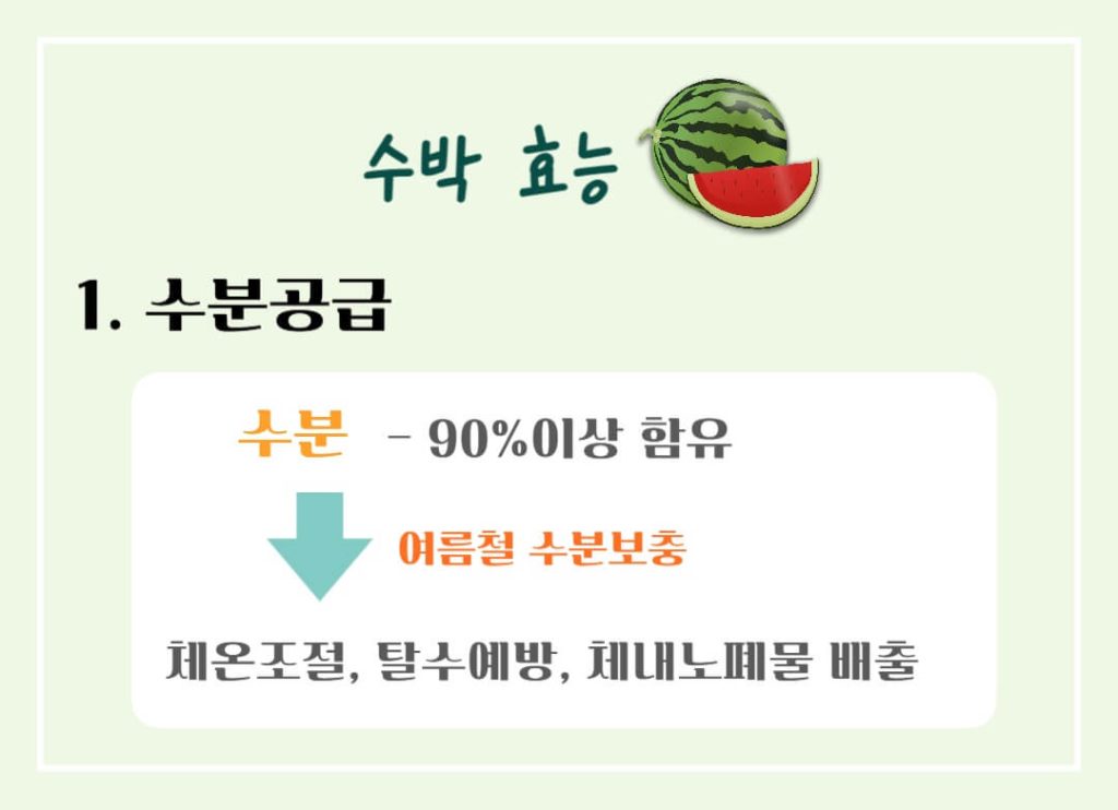 놀라운 수박의 효능과 칼로리 : 건강한 여름의 필수 과일