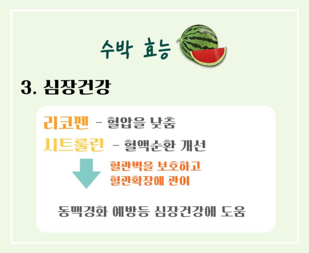 놀라운 수박의 효능과 칼로리 : 건강한 여름의 필수 과일