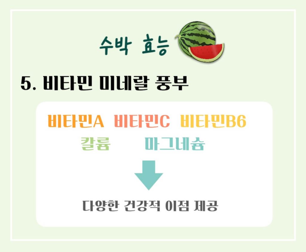 놀라운 수박의 효능과 칼로리 : 건강한 여름의 필수 과일