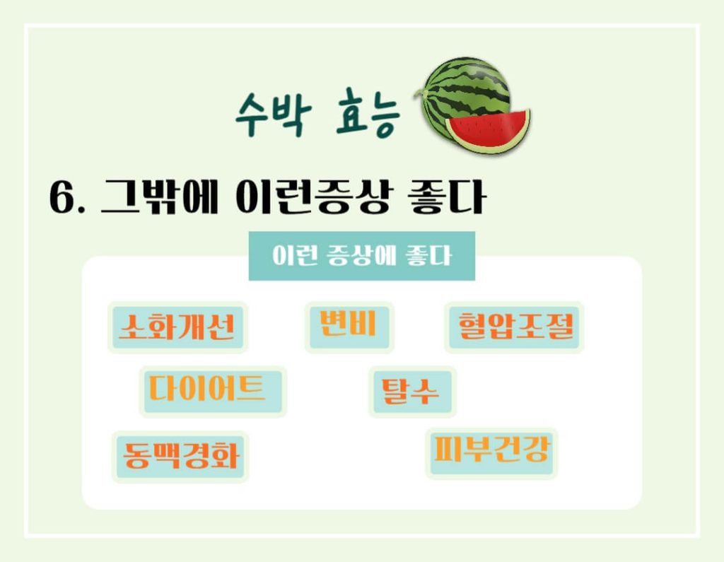 놀라운 수박의 효능과 칼로리 : 건강한 여름의 필수 과일