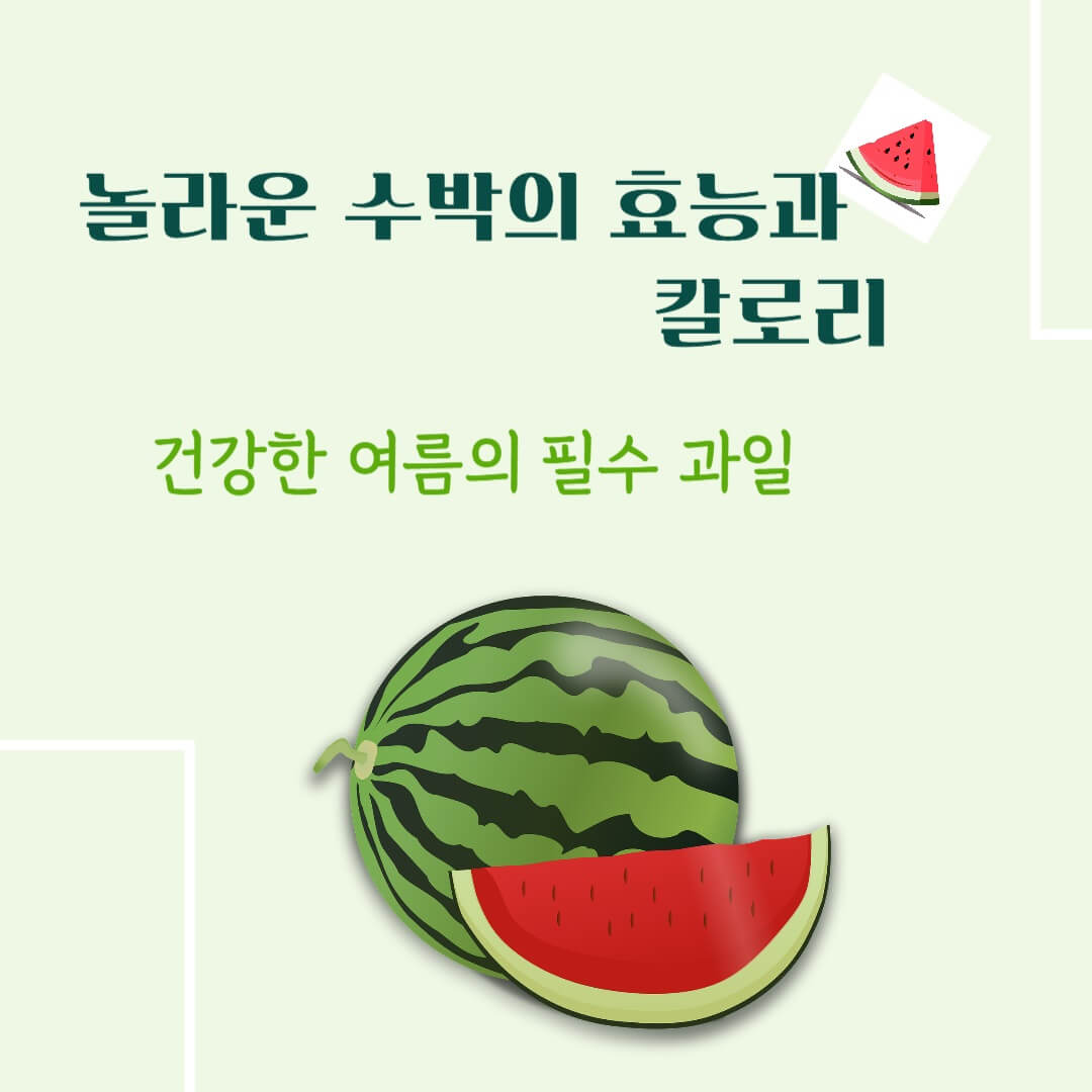 놀라운 수박의 효능과 칼로리 : 건강한 여름의 필수 과일