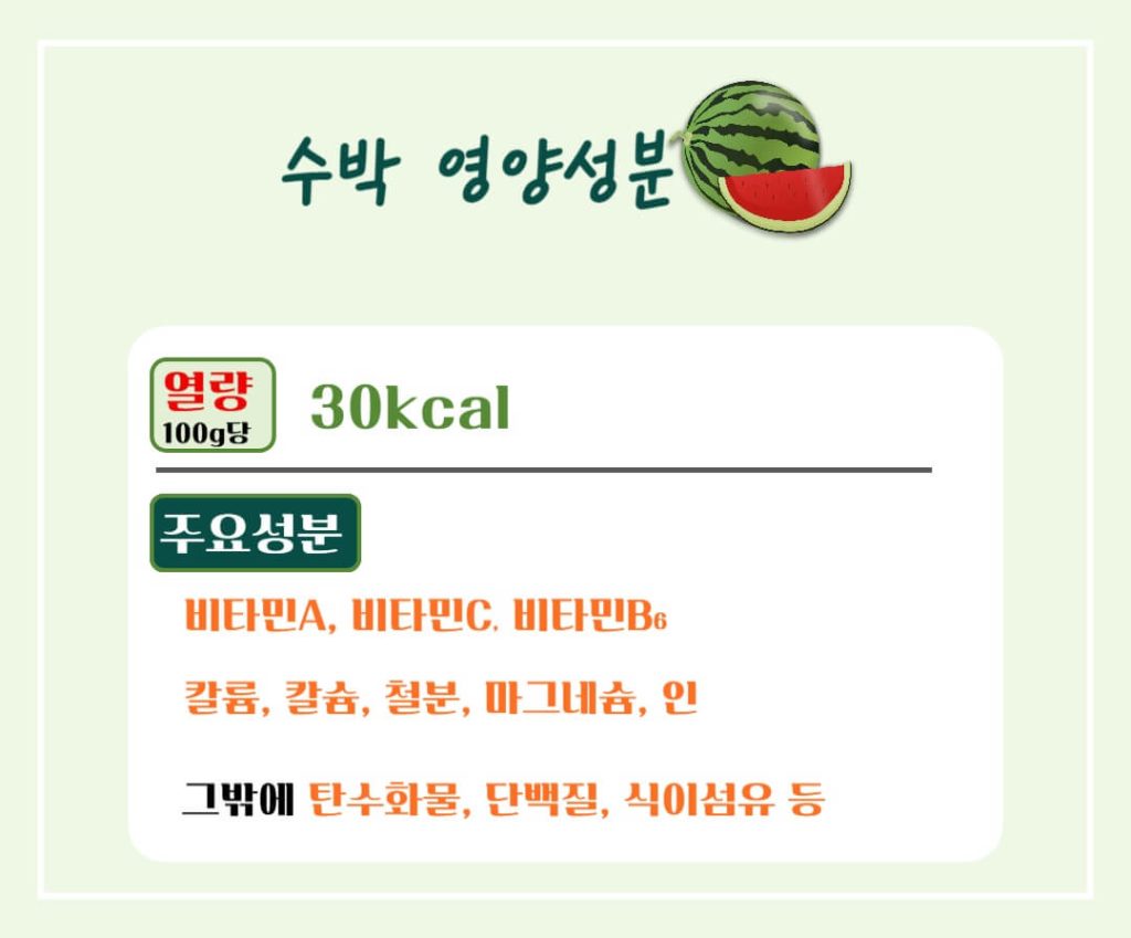 놀라운 수박의 효능과 칼로리 : 건강한 여름의 필수 과일