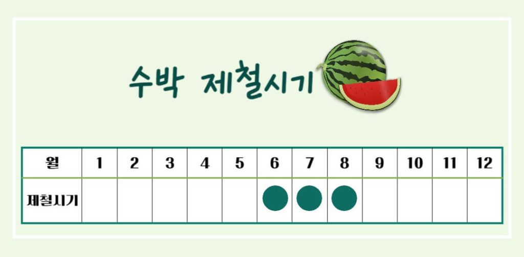 놀라운 수박의 효능과 칼로리 : 건강한 여름의 필수 과일