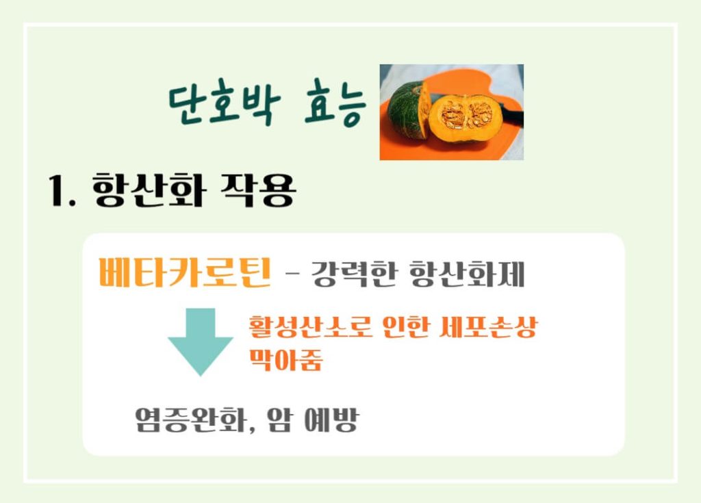 단호박 효능 칼로리 알아보기 : 녹황색 채소, 영양보물창고(feat. 면역력증강)