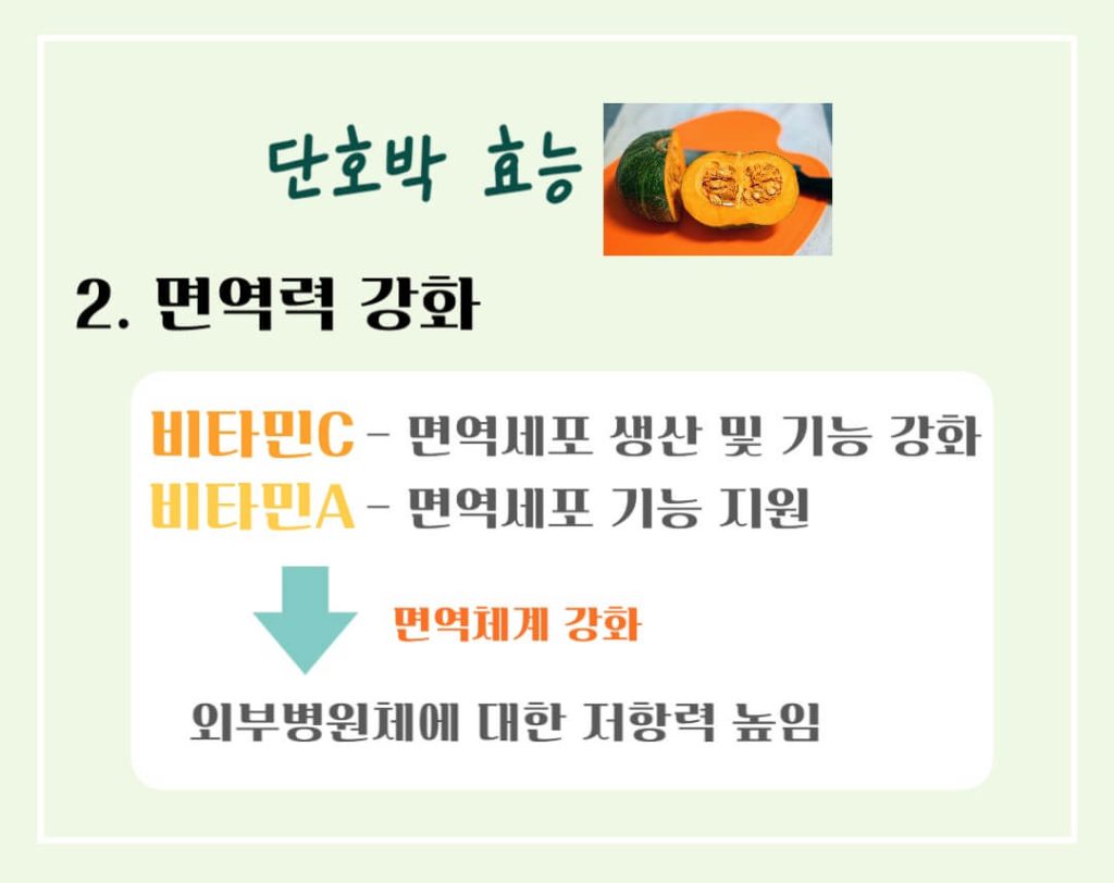 단호박 효능 칼로리 알아보기 : 녹황색 채소, 영양보물창고(feat. 면역력증강)