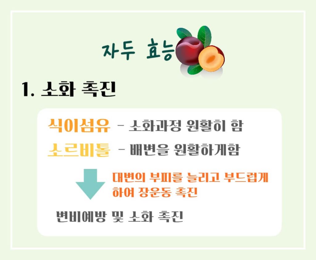 빛나는 붉은 자두의 효능과 칼로리 : 칼로리 걱정없는 건강한 비밀