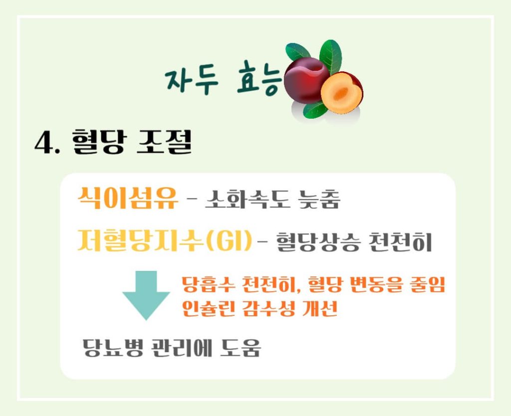 빛나는 붉은 자두의 효능과 칼로리 : 칼로리 걱정없는 건강한 비밀