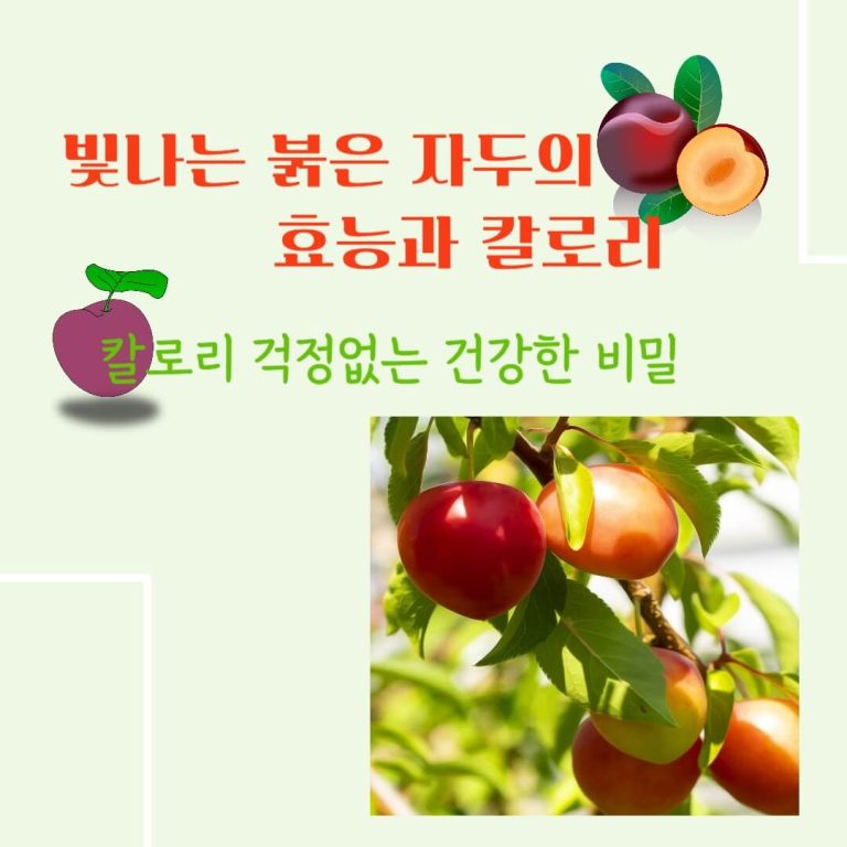 빛나는 붉은 자두의 효능과 칼로리 : 칼로리 걱정없는 건강한 비밀