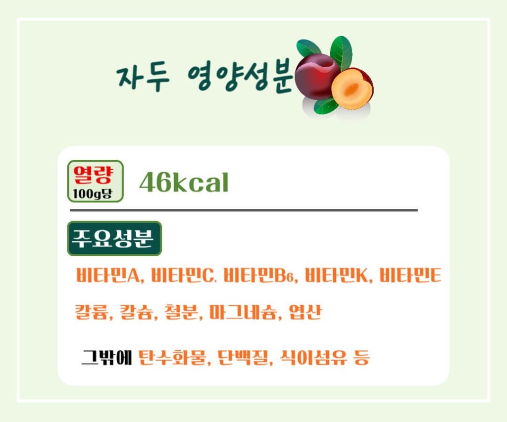 빛나는 붉은 자두의 효능과 칼로리 : 칼로리 걱정없는 건강한 비밀