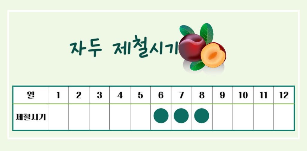 빛나는 붉은 자두의 효능과 칼로리 : 칼로리 걱정없는 건강한 비밀