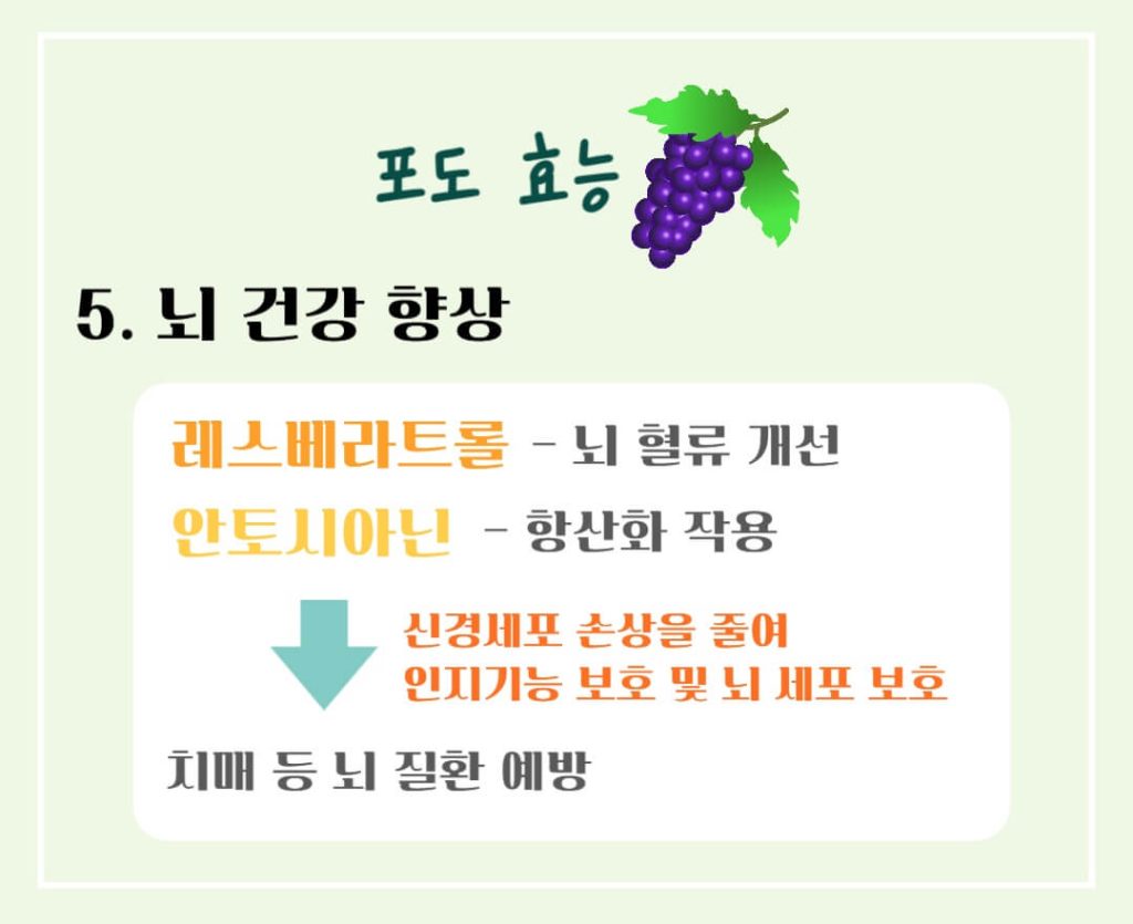 포도의 효능 칼로리 완벽가이드 : 건강을 위한 슈퍼푸드