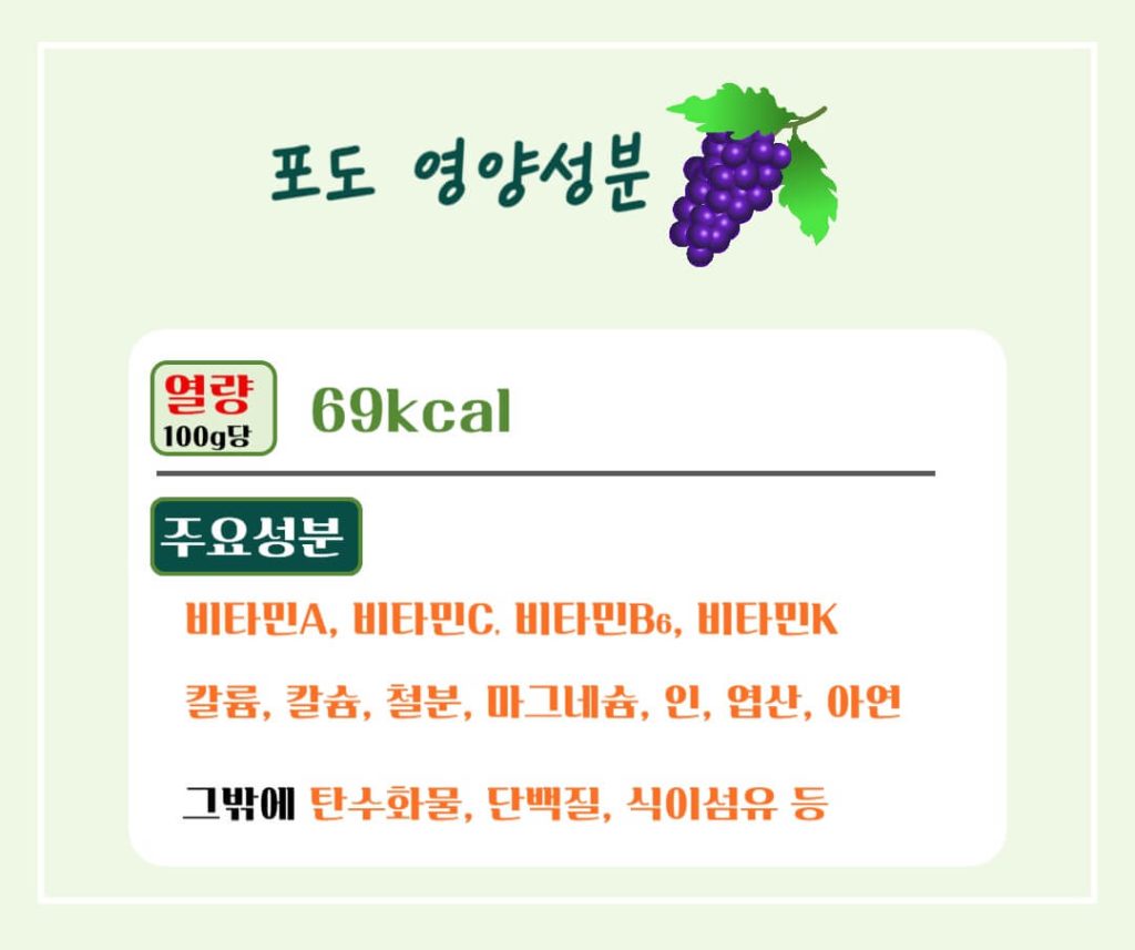 포도의 효능 칼로리 완벽가이드 : 건강을 위한 슈퍼푸드