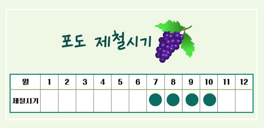 포도의 효능 칼로리 완벽가이드 : 건강을 위한 슈퍼푸드