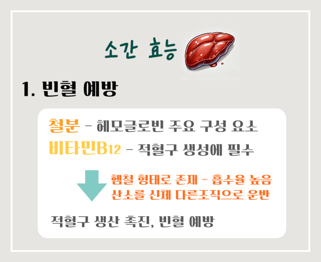 영양 보물 소간의 효능 칼로리 : 빈혈 예방부터 피부 건강까지 - 건강한 음식