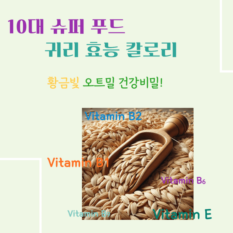 10대 슈퍼푸드 귀리 효능 칼로리 : 황금빛 오트밀 건강비밀!