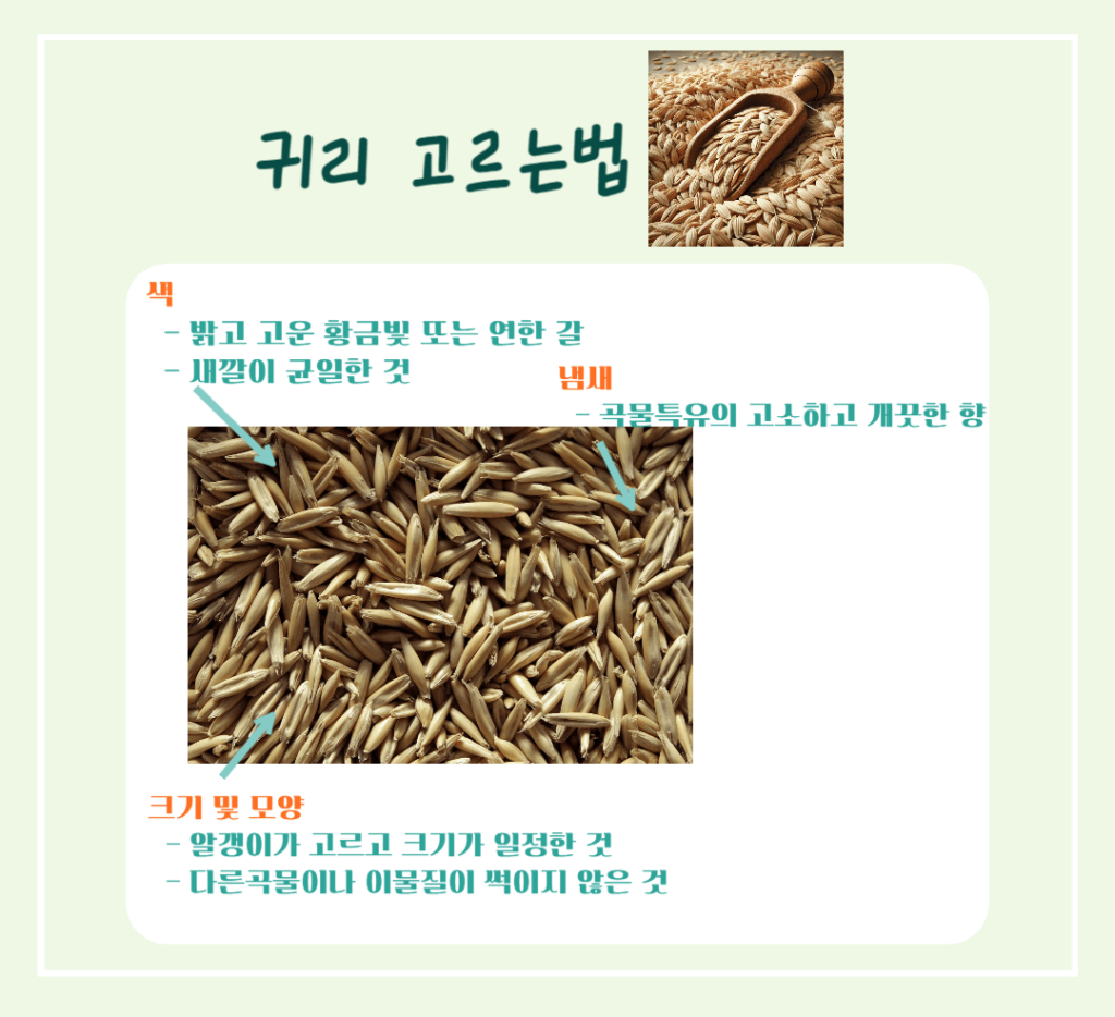 10대 슈퍼푸드 귀리 효능 칼로리 : 황금빛 오트밀 건강비밀!