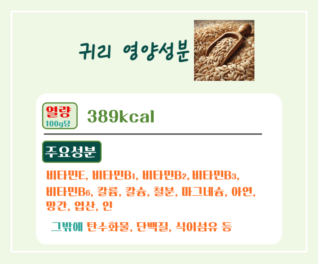 10대 슈퍼푸드 귀리 효능 칼로리 : 황금빛 오트밀 건강비밀!