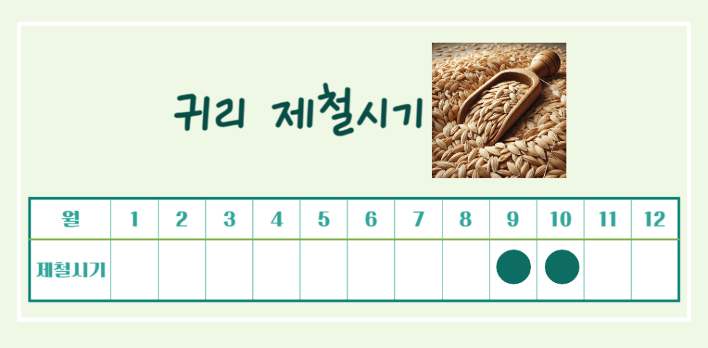 10대 슈퍼푸드 귀리 효능 칼로리 : 황금빛 오트밀 건강비밀!