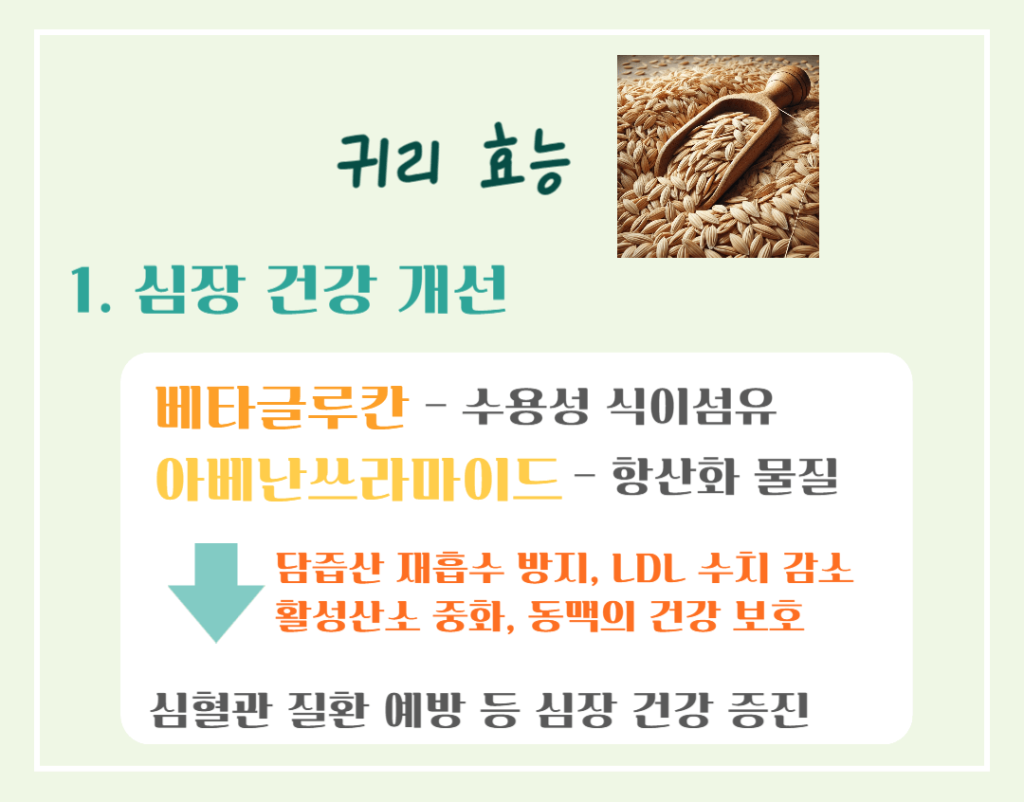 10대 슈퍼푸드 귀리 효능 칼로리 : 황금빛 오트밀 건강비밀!