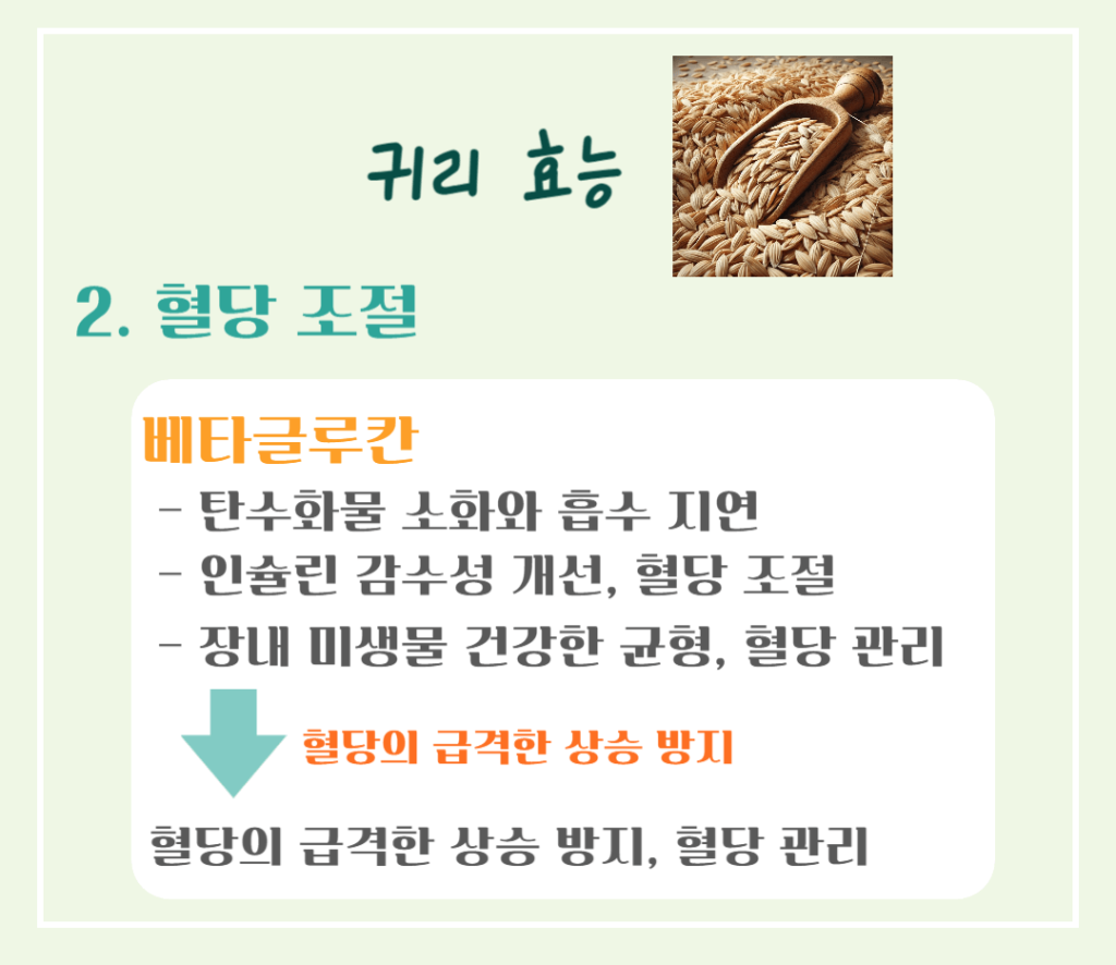10대 슈퍼푸드 귀리 효능 칼로리 : 황금빛 오트밀 건강비밀!
