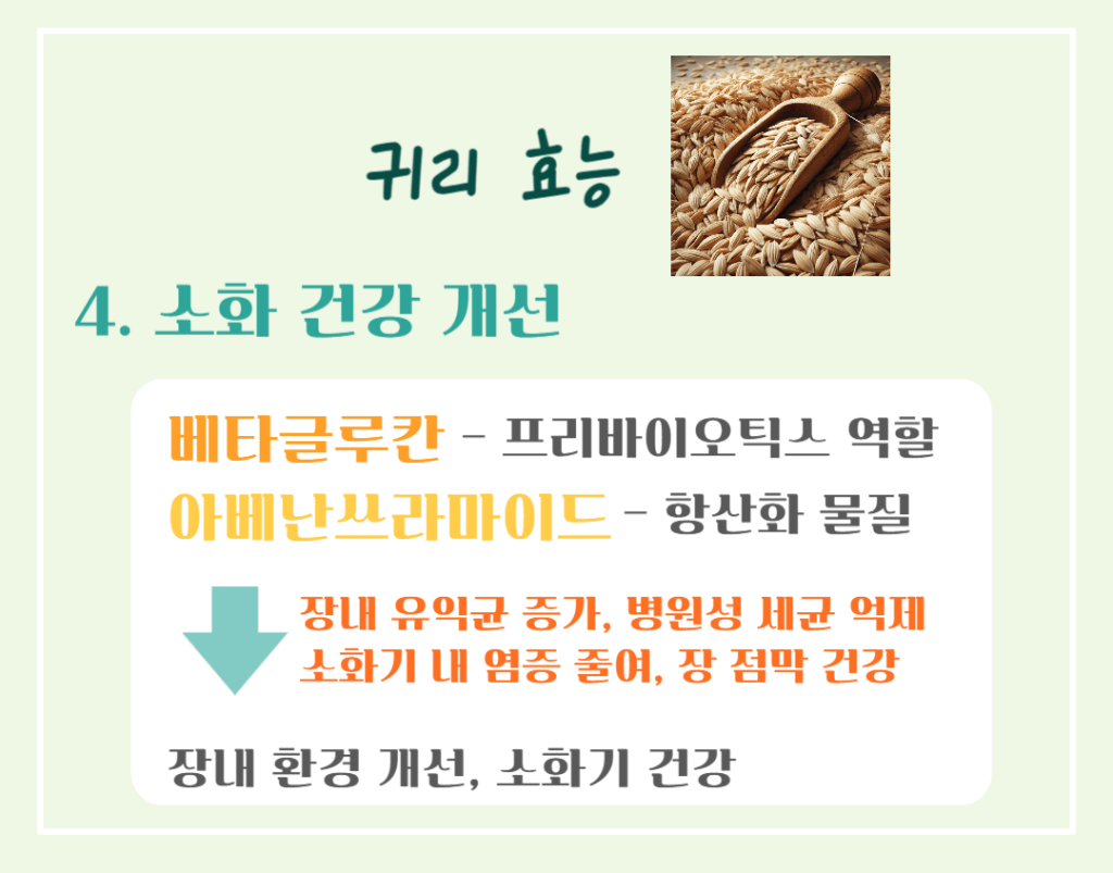 10대 슈퍼푸드 귀리 효능 칼로리 : 황금빛 오트밀 건강비밀!