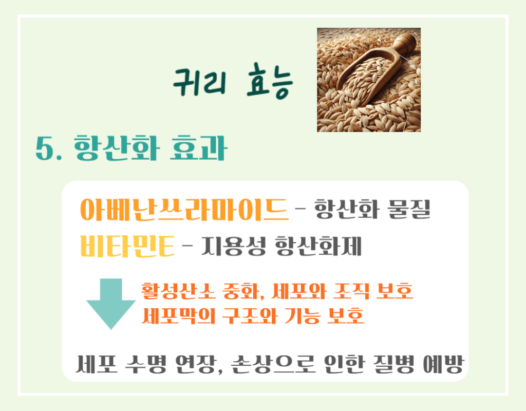 10대 슈퍼푸드 귀리 효능 칼로리 : 황금빛 오트밀 건강비밀!