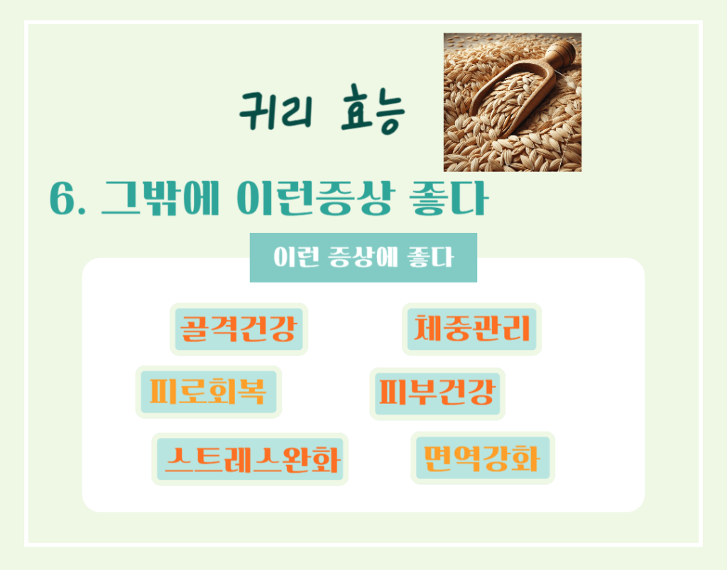 10대 슈퍼푸드 귀리 효능 칼로리 : 황금빛 오트밀 건강비밀!