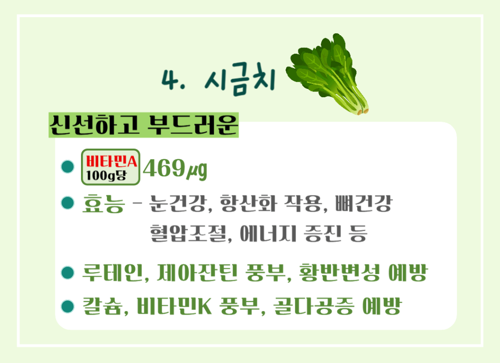 건강한 비타민A 폭탄!! 비타민A가 풍부한 음식 TOP 5