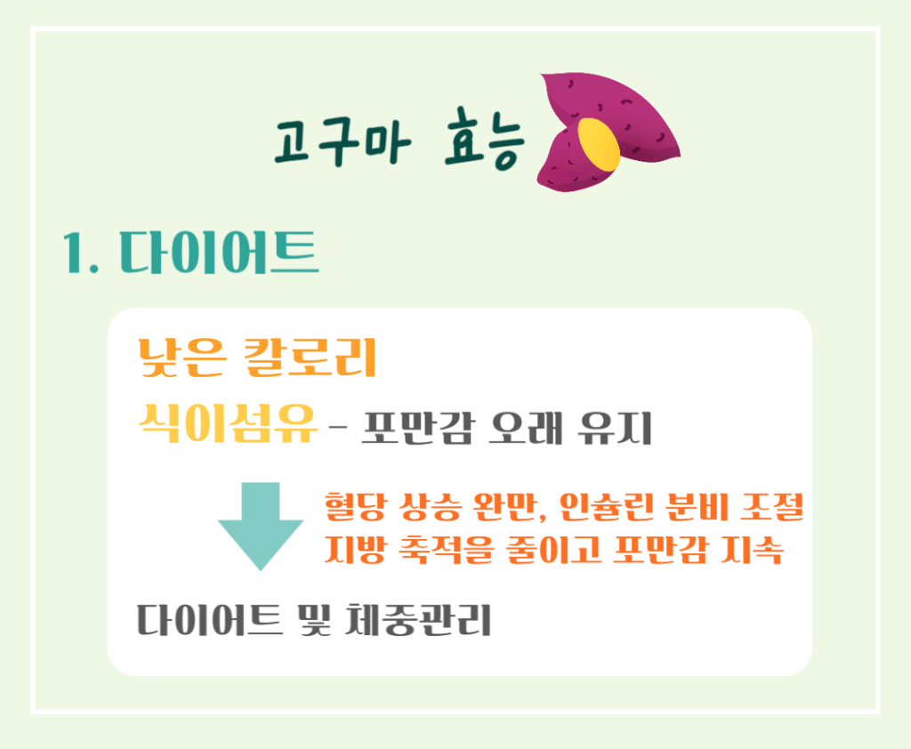 달콤 영양가득!! 고구마의 효능 칼로리 : 수확시기 vs 제철시기 완벽정리
