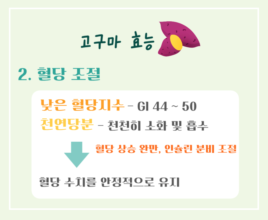 달콤 영양가득!! 고구마의 효능 칼로리 : 수확시기 vs 제철시기 완벽정리