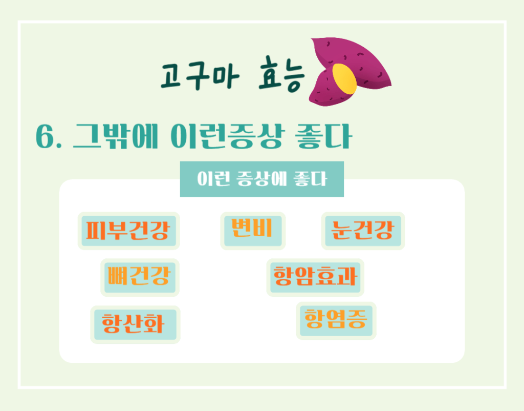 달콤 영양가득!! 고구마의 효능 칼로리 : 수확시기 vs 제철시기 완벽정리