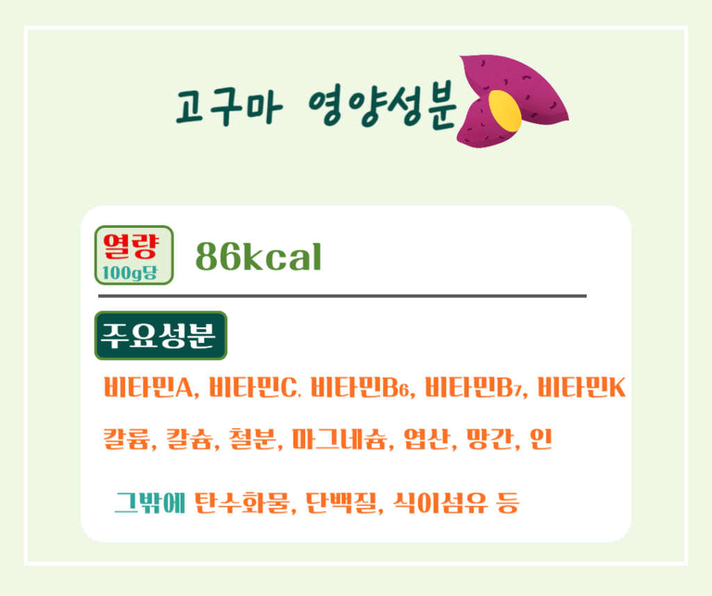 달콤 영양가득!! 고구마의 효능 칼로리 : 수확시기 vs 제철시기 완벽정리
