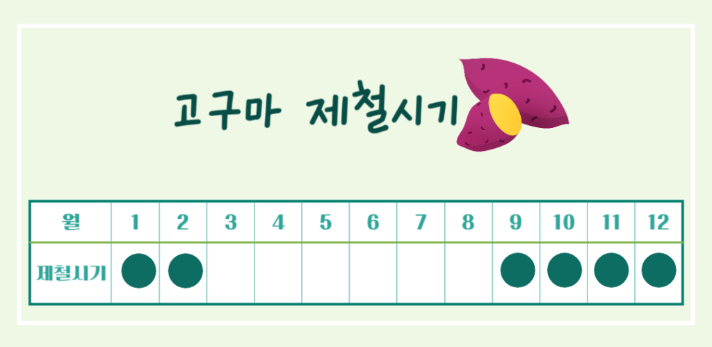 달콤 영양가득!! 고구마의 효능 칼로리 : 수확시기 vs 제철시기 완벽정리