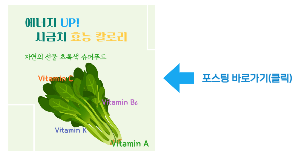 에너지 up! 시금치 효능 칼로리 바로가기