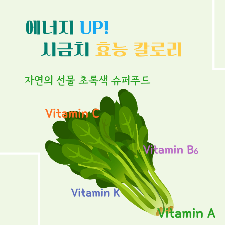 에너지 up! 시금치 효능 칼로리 : 자연의 선물 초록색 슈퍼푸드