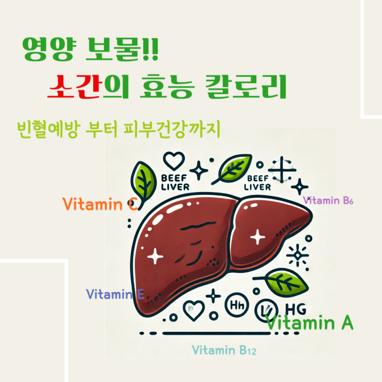 영양 보물 소간의 효능 칼로리 : 빈혈 예방부터 피부 건강까지