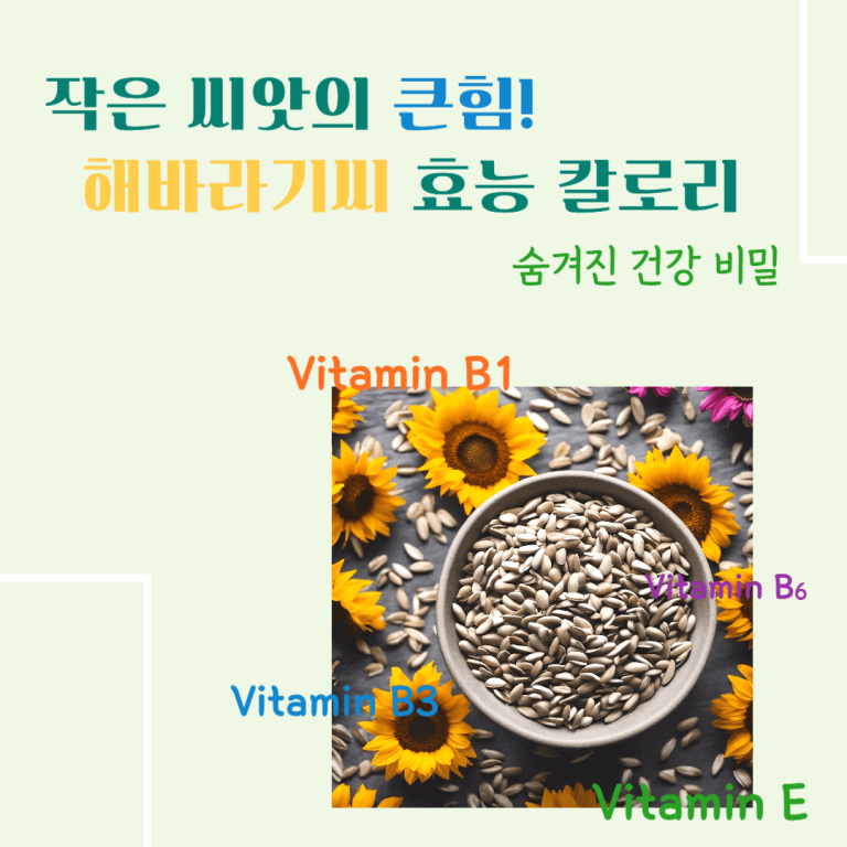 작은 씨앗의 큰힘! 해바라기씨 효능 칼로리 : 숨겨진 건강 비밀