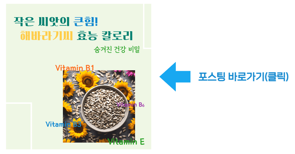 작은 씨앗의 큰힘! 해바라기씨 효능 칼로리 바로가기
