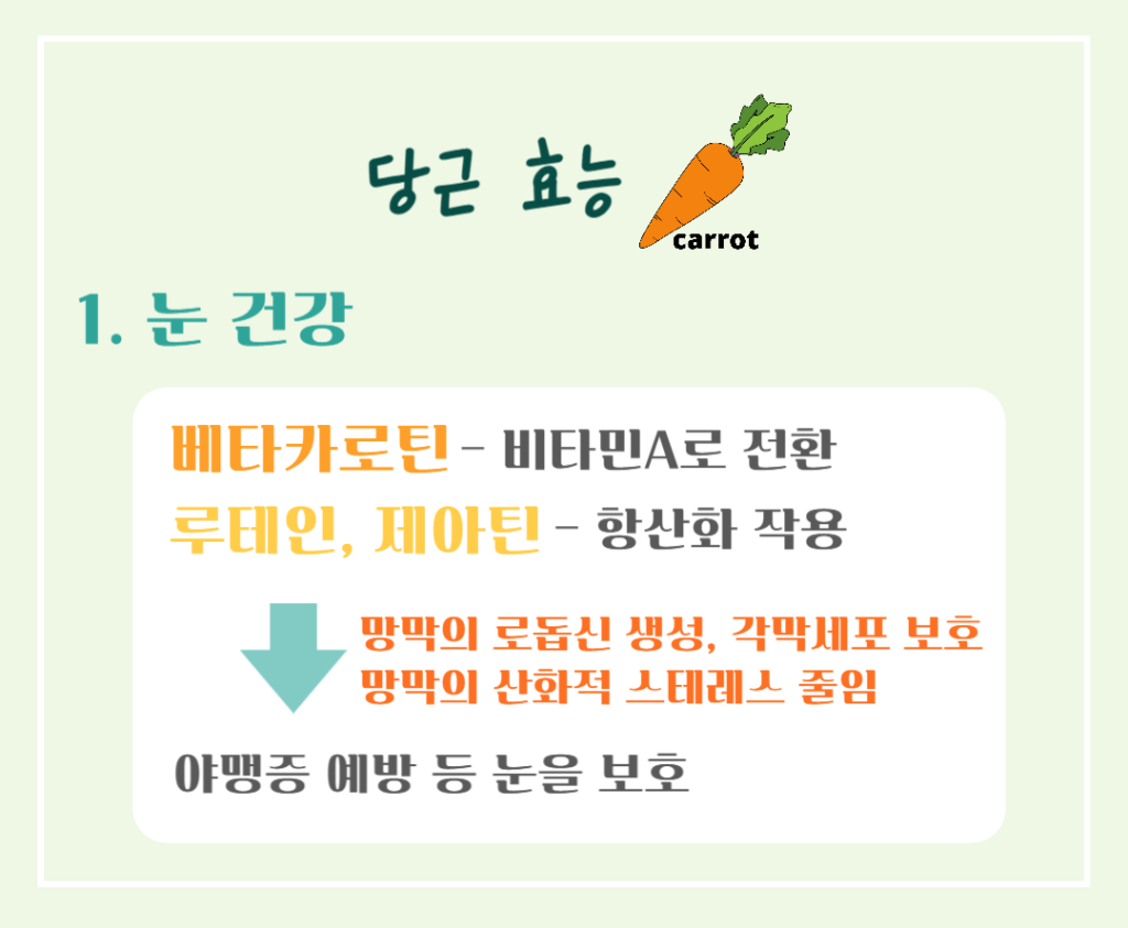 주황색의 마법채소 당근의 효능 칼로리 : 베타카로틴의 건강 비밀