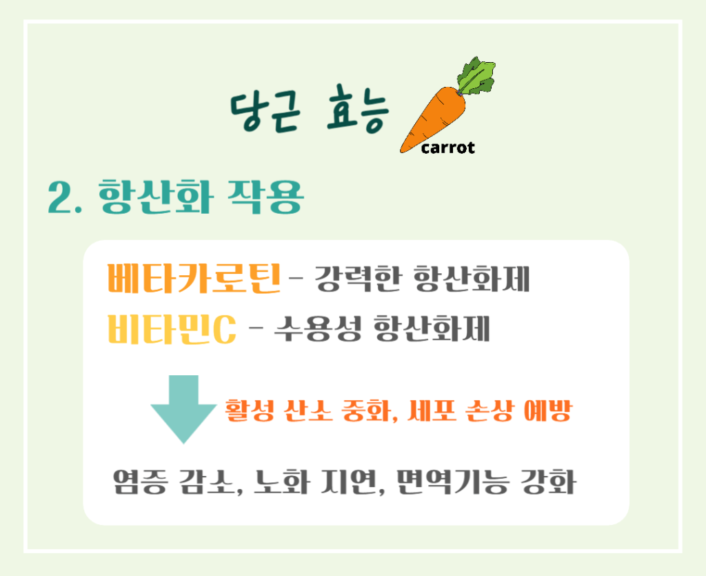 주황색의 마법채소 당근의 효능 칼로리 : 베타카로틴의 건강 비밀