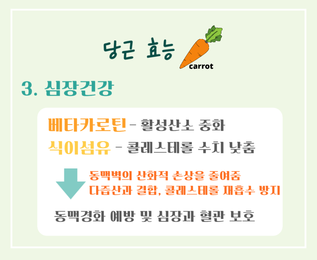 주황색의 마법채소 당근의 효능 칼로리 : 베타카로틴의 건강 비밀