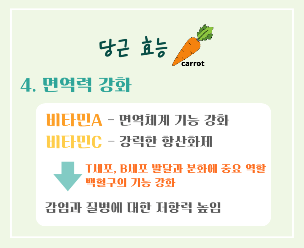 주황색의 마법채소 당근의 효능 칼로리 : 베타카로틴의 건강 비밀