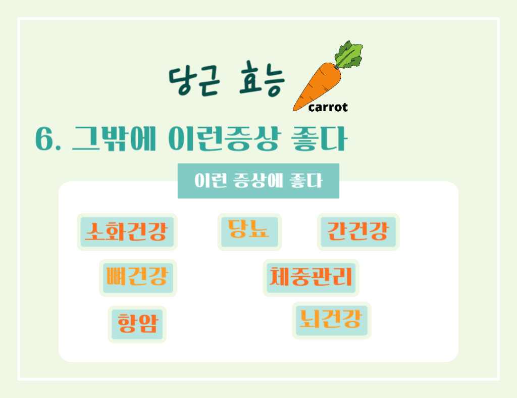 주황색의 마법채소 당근의 효능 칼로리 : 베타카로틴의 건강 비밀
