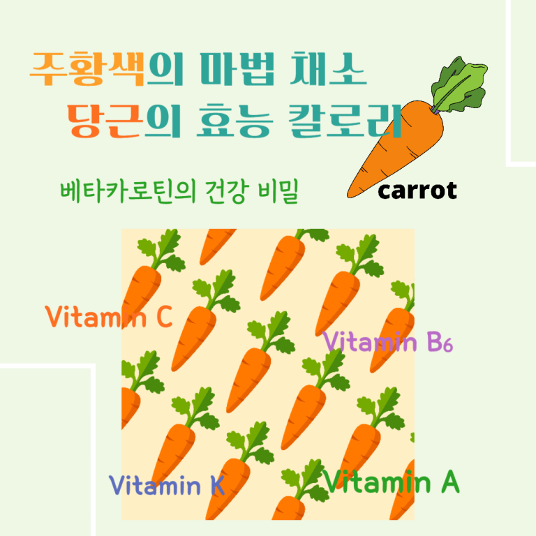 주황색의 마법채소 당근의 효능 칼로리 : 베타카로틴의 건강 비밀
